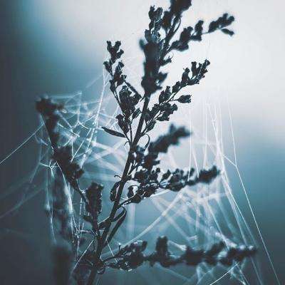 开运·kaiyunapp下载