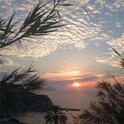 新天地棋牌下载手机版