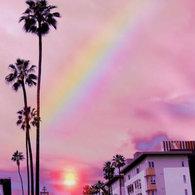 b体育官方入口在线登录网站