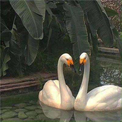 北京pk赛车app官网下载安装