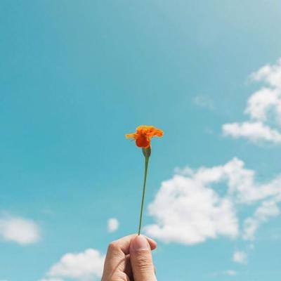 yabo官网网页版下载手机版截图