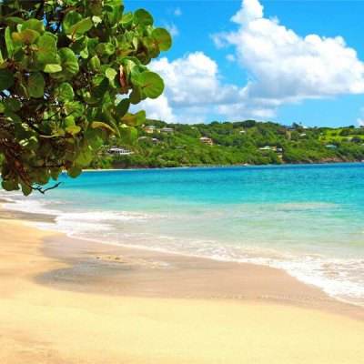 B体育手机版在线