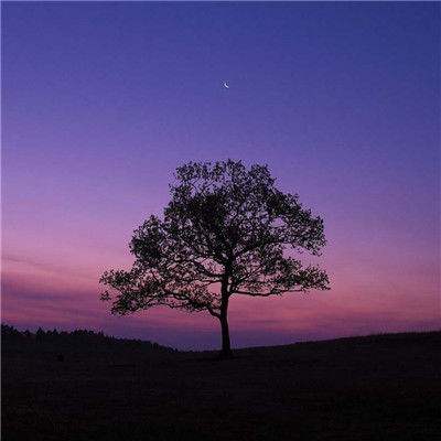 2023年新澳门今晚开特马下载手机版