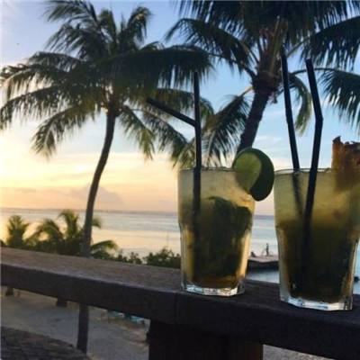 博鱼综合app官网登录