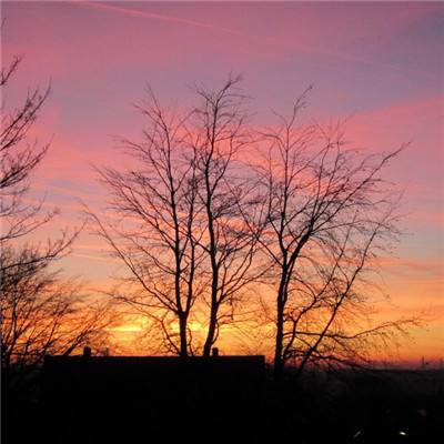 71771威尼斯.Cmapp下载